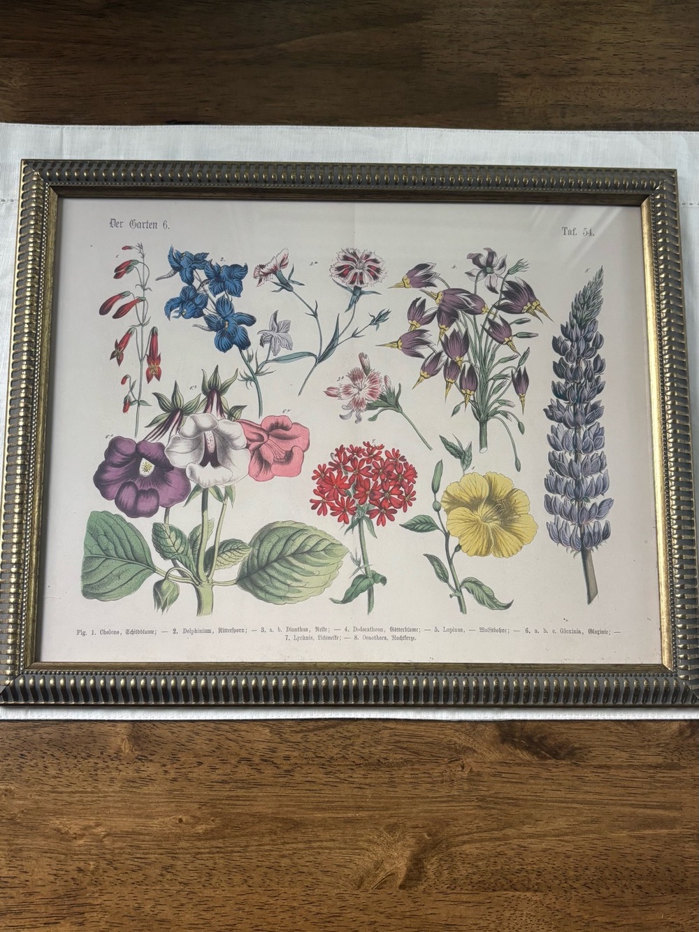 Floral Botanical Print Wall Art in Multi-Color